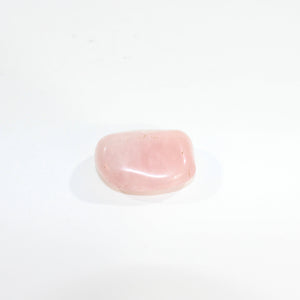 Rose quartz crystal palm stone  | ASH&STONE Crystals Shop Auckland NZ