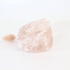 Rose quartz crystal chunk  ASH&STONE Crystals Shop Auckland NZ