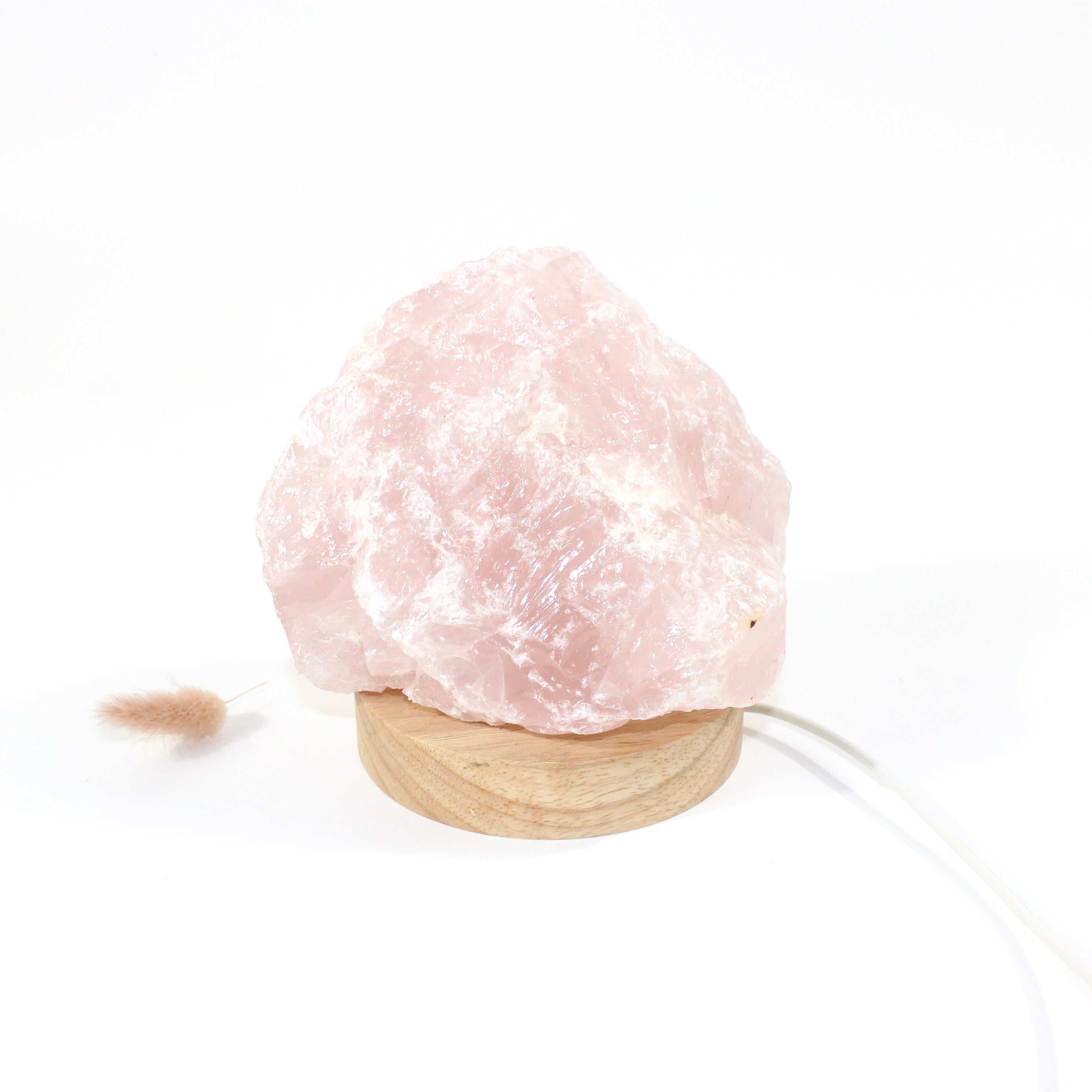 Rose Quartz Crystal Lamp | ASH & STONE crystals online. Free express shipping