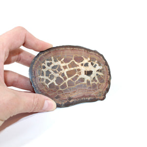 Septarian raw crystal half with polished | ASH&STONE Crystals Shop Auckland NZ top 