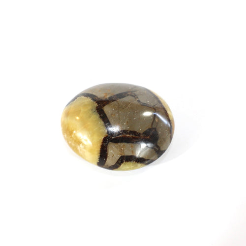 Septarian crystal palm stone | ASH&STONE Crystals Shop Auckland NZ
