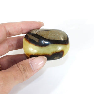 Septarian crystal palm stone | ASH&STONE Crystals Shop Auckland NZ