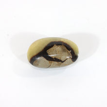 Load image into Gallery viewer, Septarian crystal palm stone | ASH&amp;STONE Crystals Shop Auckland NZ
