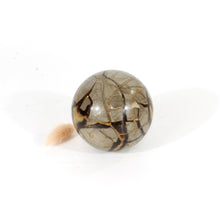 Load image into Gallery viewer, Septarian crystal sphere | ASH&amp;STONE Crystals Shop Auckland NZ
