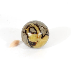 Septarian crystal sphere | ASH&STONE Crystals Shop Auckland NZ