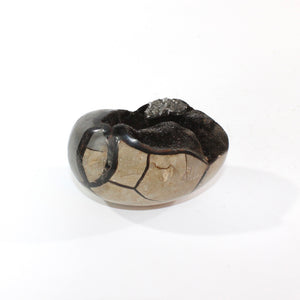 Septarian crystal egg | ASH&STONE Crystal Shop Auckland NZ