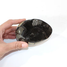 Load image into Gallery viewer, Septarian crystal egg | ASH&amp;STONE Crystal Shop Auckland NZ
