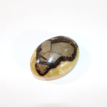 Load image into Gallery viewer, Septarian polished crystal palm stone  | ASH&amp;STONE Crystals Shop Auckland NZ
