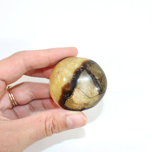 Septarian polished crystal palm stone | ASH&STONE Crystals Shop Auckland NZ
