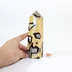  Septarian polished crystal generator  | ASH&STONE Crystals Shop Auckland NZ