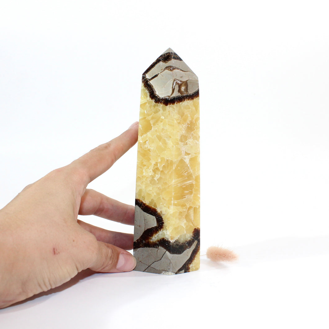  Septarian polished crystal generator  | ASH&STONE Crystals Shop Auckland NZ