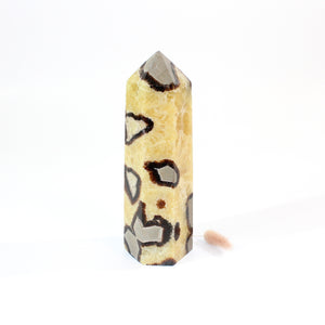  Septarian polished crystal generator  | ASH&STONE Crystals Shop Auckland NZ