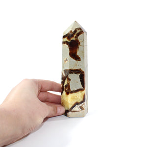 Septarian polished crystal generator | ASH&STONE Crystals Shop Auckland NZ