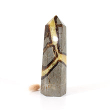 Load image into Gallery viewer, Septarian crystal tower | ASH&amp;STONE Crystals Shop Auckland NZ

