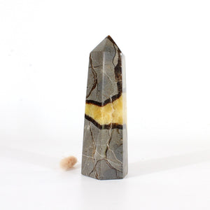 Septarian crystal tower | ASH&STONE Crystals Shop Auckland NZ