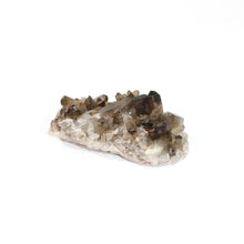Load image into Gallery viewer, Smoky quartz crystal cluster | ASH&amp;STONE Crystals Shop Auckland NZ
