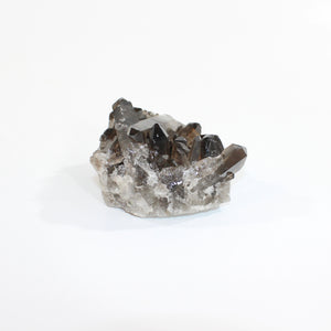 Smoky quartz crystal cluster | ASH&STONE Crystal Shop Auckland NZ