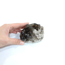 Load image into Gallery viewer, Smoky quartz crystal cluster | ASH&amp;STONE Crystal Shop Auckland NZ
