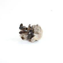 Load image into Gallery viewer, Smoky quartz crystal cluster | ASH&amp;STONE Crystal Shop Auckland NZ
