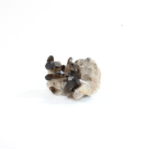 Smoky quartz crystal cluster | ASH&STONE Crystal Shop Auckland NZ