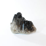 Smoky quartz crystal cluster | ASH&STONE Crystal Shop Auckland NZ