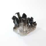 Smoky quartz crystal cluster | ASH&STONE Crystal Shop Auckland NZ
