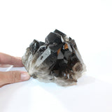 Smoky quartz crystal cluster | ASH&STONE Crystal Shop Auckland NZ
