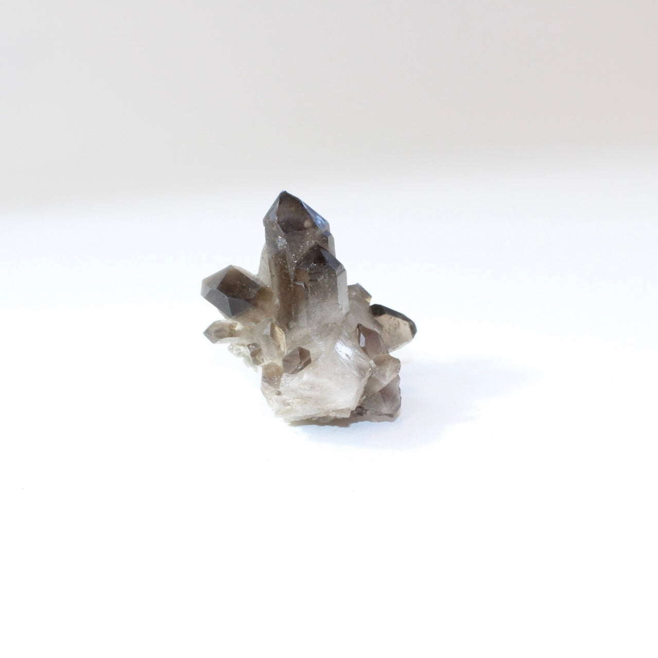 Smoky quartz crystal cluster | ASH&STONE Crystal Shop Auckland NZ