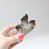 Smoky quartz crystal cluster | ASH&STONE Crystal Shop Auckland NZ