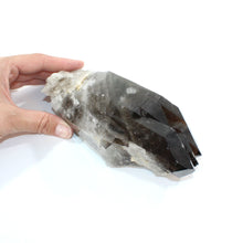 Load image into Gallery viewer, Smoky quartz crystal clustered point 1kg | ASH&amp;STONE Crystal Shop Auckland NZ
