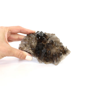 Smoky quartz crystal cluster | ASH&STONE Crystals Shop Auckland NZ