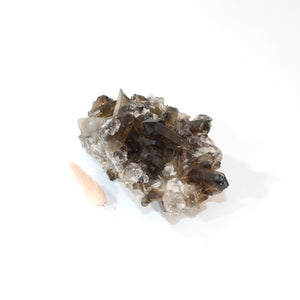 Smoky quartz crystal cluster | ASH&STONE Crystals Shop Auckland NZ