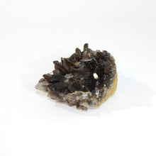 Load image into Gallery viewer, Smoky quartz crystal cluster | ASH&amp;STONE Crystals Shop Auckland NZ
