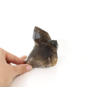 Smoky quartz crystal point | ASH&STONE Crystals Shop Auckland NZ