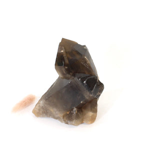 Smoky quartz crystal point | ASH&STONE Crystals Shop Auckland NZ