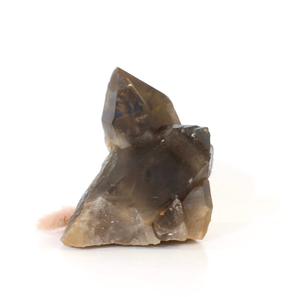 Smoky quartz crystal point | ASH&STONE Crystals Shop Auckland NZ