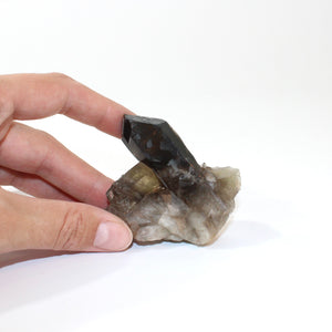 Smoky quartz crystal point | ASH&STONE Crystals Shop Auckland NZ