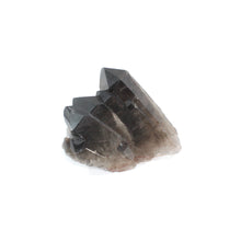 Load image into Gallery viewer, Smoky quartz crystal clustered points | ASH&amp;STONE Crystal Shop Auckland NZ
