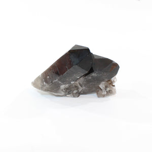 Smoky quartz crystal clustered points | ASH&STONE Crystal Shop Auckland NZ