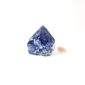 Sodalite crystal point | ASH&STONE Crystals Shop Auckland NZ