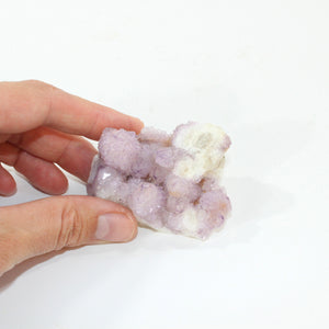 Spirit quartz crystal cluster - rare | ASH&STONE Crystal Shop Auckland NZ