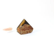 Load image into Gallery viewer, Tigers eye crystal point  | ASH&amp;STONE Crystals Shop Auckland NZ
