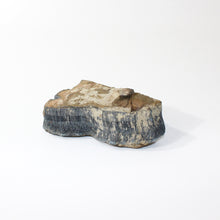 Load image into Gallery viewer, Tigers eye raw crystal chunk | ASH&amp;STONE Crystals Shop Auckland NZ
