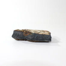 Load image into Gallery viewer, Tigers eye raw crystal chunk | ASH&amp;STONE Crystals Shop Auckland NZ
