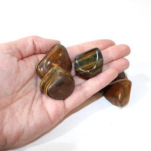 Tigers eye crystal tumblestone | ASH&STONE Crystals Shop Auckland NZ