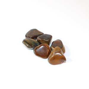 Tigers eye crystal tumblestone | ASH&STONE Crystals Shop Auckland NZ