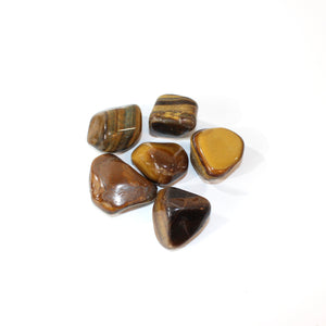 Tigers eye crystal tumblestone | ASH&STONE Crystals Shop Auckland NZ