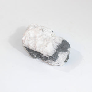 White bladed (angel wing) rose calcite crystal cluster | ASH&STONE Crystals Shop Auckland NZ