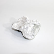 Load image into Gallery viewer, White bladed (angel wing) rose calcite crystal cluster | ASH&amp;STONE Crystals Shop Auckland NZ 
