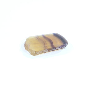 Yellow fluorite crystal slice | ASH&STONE Crystals Shop Auckland NZ